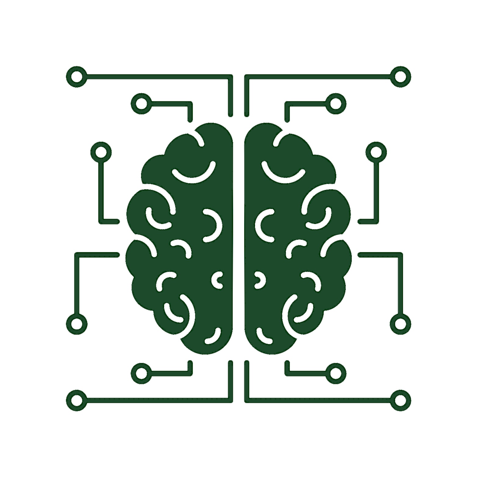 NeuroNur Logo