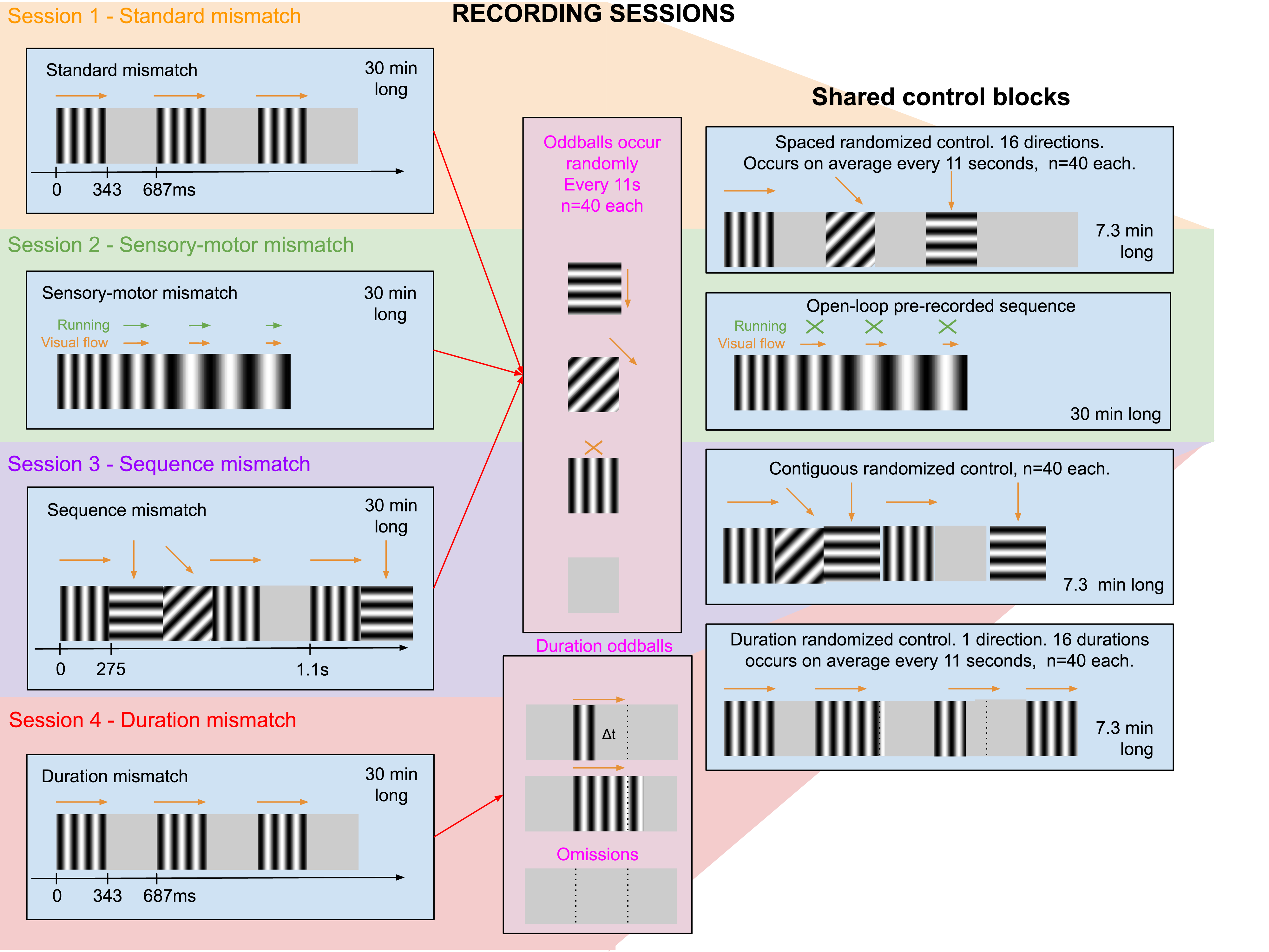 Neural Mechanisms of Predictive Processing